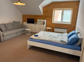 Apartmány Vltavanka，位于Županovice的酒店