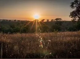 Herdade da Maceira