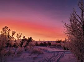 Thingvellir Lake Cottage，位于Veiðilundur的酒店