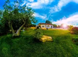 Panoramic trulli with swimming pool in Monopoli