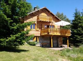 Chalet spa bath fireplace ski-in out，位于阿克斯莱泰尔姆的酒店