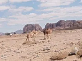 Suleman Bedouin Life Camp