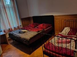 Gemütliches Zimmer im 1OGB Nur 2 Min vom Hbf Solothurn entfern，位于索洛图恩的酒店