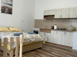Apartman Pajić，位于Odžaci的酒店