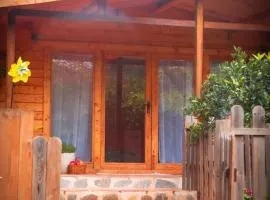 Cabaña madera en bosque 100 ECO