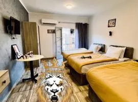 New Park Plaza Cairo