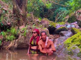 Whispering waters natures cottage，位于金斯敦的酒店