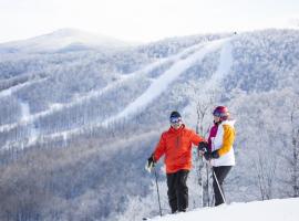 Windham Ridge Chalet，位于温德姆的自助式住宿
