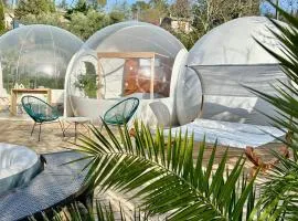 Les bulles Nîmoises