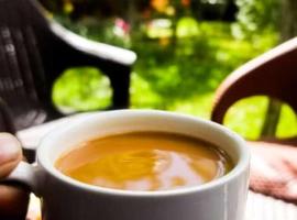 Green leaf Guest house，位于Minapin的酒店