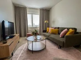 A beautiful renovated top floor apartment in city center