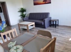 Chodov apartmán，位于布拉格的酒店