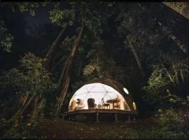 Private Glamping Getaway in the Redwoods near Santa Cruz, California