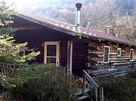 Simple Cabin Camping for Families in the Catskills of Upstate New York，位于Big Indian的酒店