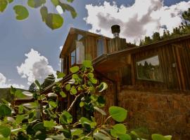 Charming Cabin with Mountain Views near Indian Peaks Wilderness in Nederland, Colorado，位于尼德兰的酒店