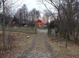 La Pescaria lui Nelu，位于Ohaba-Sibişel的酒店