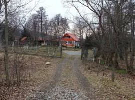 La Pescaria lui Nelu