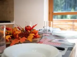 7 min dal centro, top per sciare e park