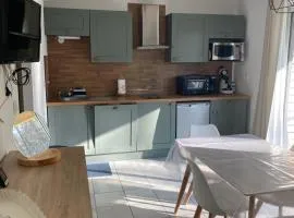 Vacances ou CNPE - Appart 2-3 pers - le Relais du Plessis - RICHELIEU