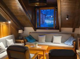 Apartamento Patu&eacute;s - Benasque，位于贝纳斯克的宠物友好酒店