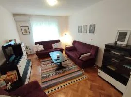 Apartment "Central Sun" with Balcony and Park View