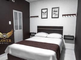 Hotel BAWER，位于阿劳卡的酒店