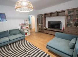 Spacious apartment Near National Arena, park