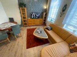 Gemütlich & Zentral - Familien-Oase mit Balkon,Waschmaschine, Trockner für 4 Personen