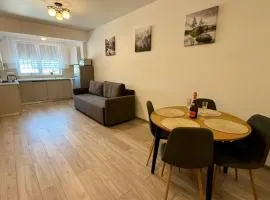 Deterra Studio 70 next to Metro Station Berceni