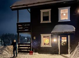 3 Bedroom Apartment with nice view by Gaustatoppen，位于Gaustablikk的滑雪度假村