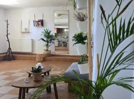 Tamarisk House-An Ideal Getaway in Southern Paros