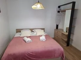 Notre Dame 2 - Entrée privative - Indépendant - 50m bords de Loire - Hypercentre