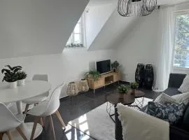 Charming apartment central in Lucerne