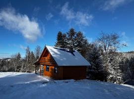 Modr&aacute; chata pod horou，位于Mračkov的木屋