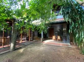 Golden Palm Villa