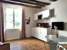 Large new studio, charming and quiet, historical center