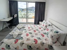 Dana-Cozy Private Room in Shared Central Apt-Rm 2