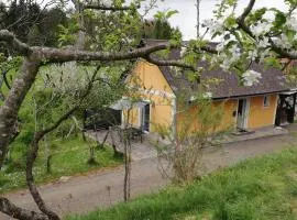Ferienhaus Muster Dominkusch II