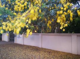 Tree Aloe Guest House，位于莫科帕内的酒店