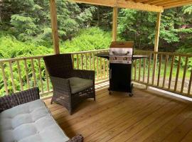 Private 3 Bedroom Cottage 5 minutes to Belleayre，位于Fleischmanns的酒店