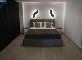 Aviator Apartament Beta