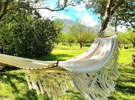 Green Hotel "I Mandorli di Dommos"