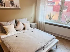 B&O Vermietung