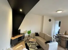 Le chal'heureux, Appartement chic au cœur d'Épernay