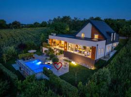Riverside pool villa-Sremski Karlovci，位于斯雷姆斯基卡尔洛夫奇的酒店