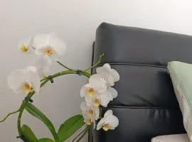 Ferienwohnung Mergel in Black Forest