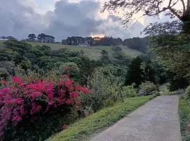 Katty Mountain View