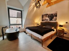 Ferienwohnungen Hof Holtmann，位于明斯特的酒店