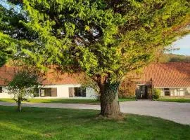 Le Clos Saint Martin