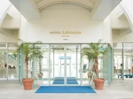 利马尼酒店